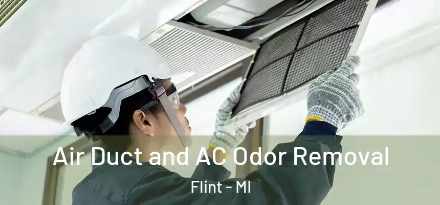 Air Duct and AC Odor Removal Flint - MI