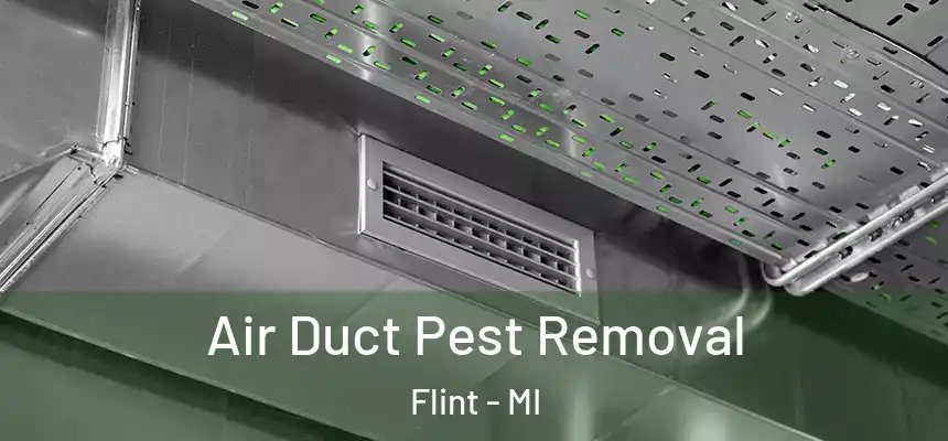 Air Duct Pest Removal Flint - MI
