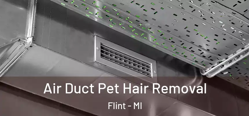 Air Duct Pet Hair Removal Flint - MI