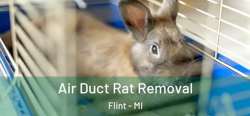 Air Duct Rat Removal Flint - MI