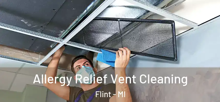 Allergy Relief Vent Cleaning Flint - MI