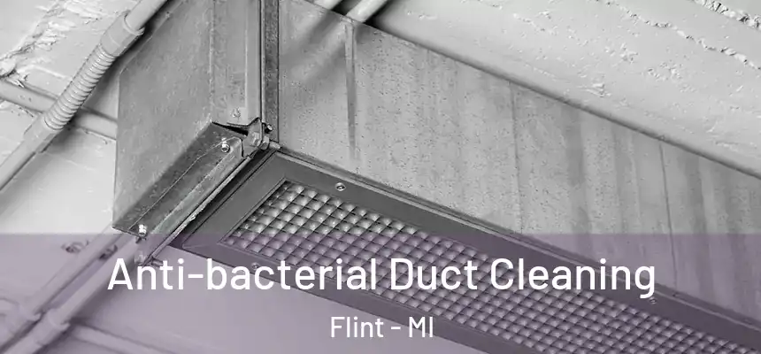 Anti-bacterial Duct Cleaning Flint - MI