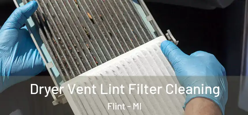 Dryer Vent Lint Filter Cleaning Flint - MI