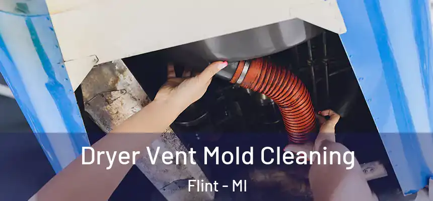 Dryer Vent Mold Cleaning Flint - MI