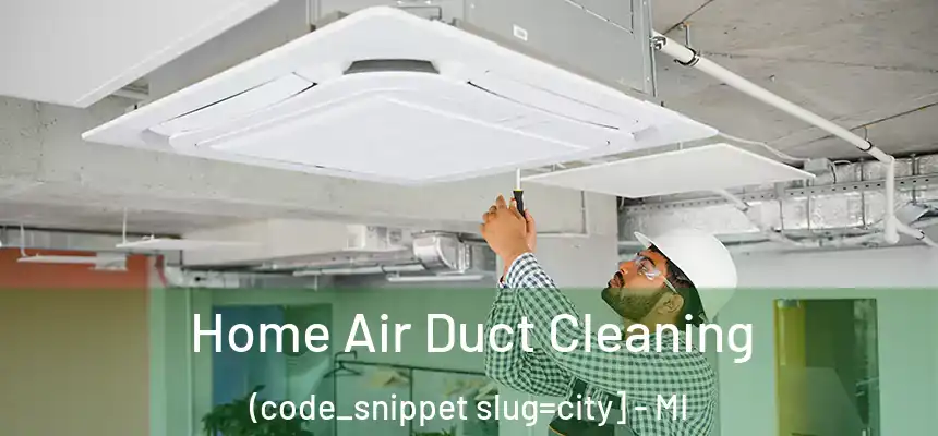  Home Air Duct Cleaning (code_snippet slug=city] - MI