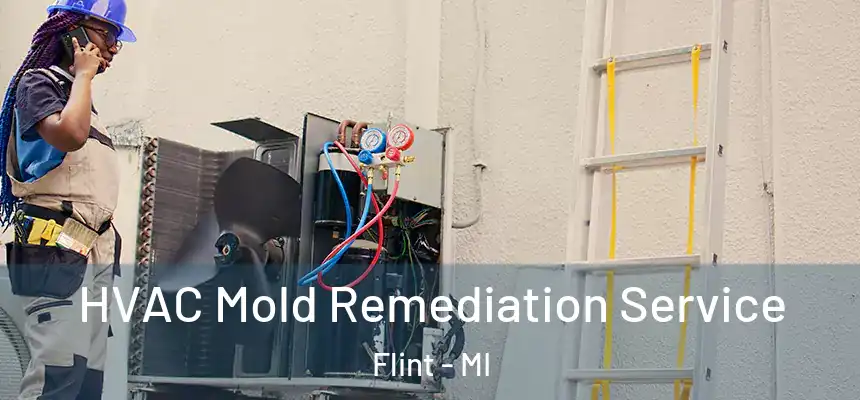 HVAC Mold Remediation Service Flint - MI