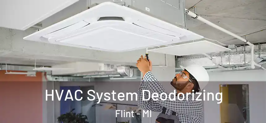 HVAC System Deodorizing Flint - MI