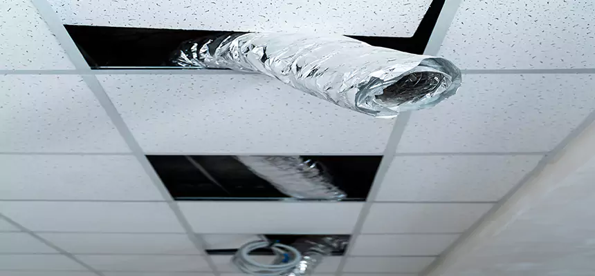 Our Air Duct Pet Hair Removal Services in Flint, MI