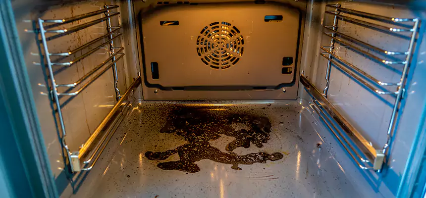 Our Dryer Vent Mold Cleaning Services in Flint, MI