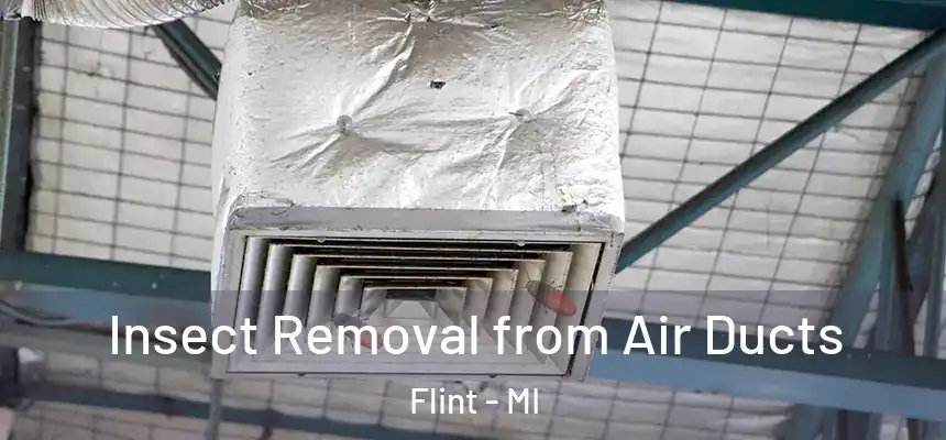 Insect Removal from Air Ducts Flint - MI