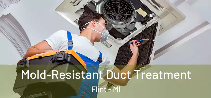 Mold-Resistant Duct Treatment Flint - MI