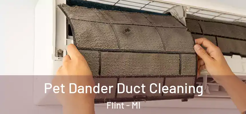 Pet Dander Duct Cleaning Flint - MI
