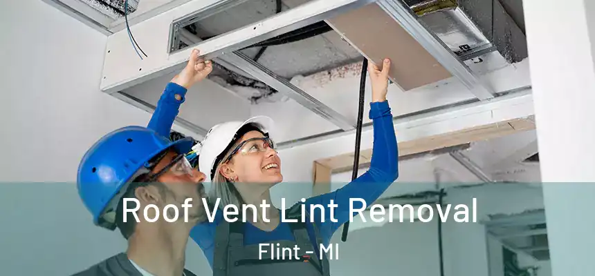 Roof Vent Lint Removal Flint - MI