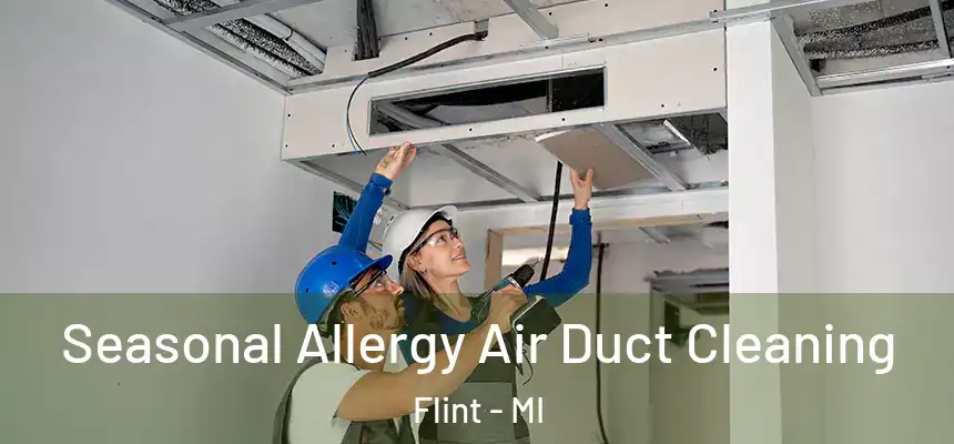 Seasonal Allergy Air Duct Cleaning Flint - MI