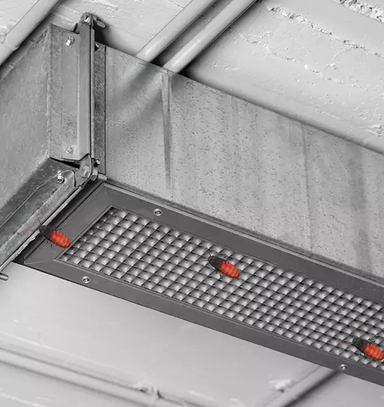 About Air Duct Cockroach Removal in Flint, MI