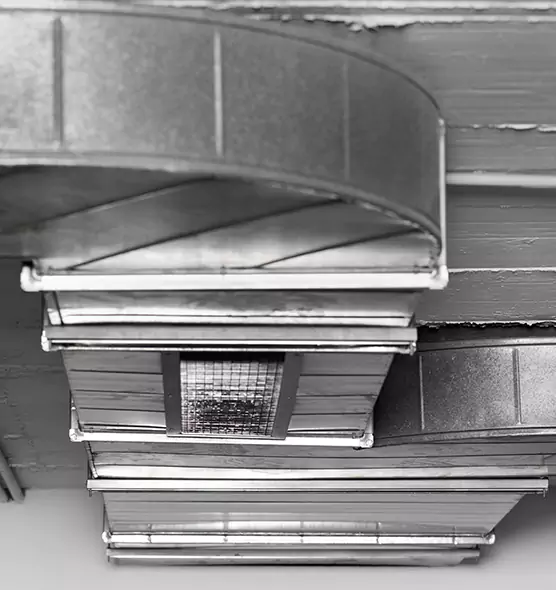 Professional Air Duct Pest Removal in Flint, MI