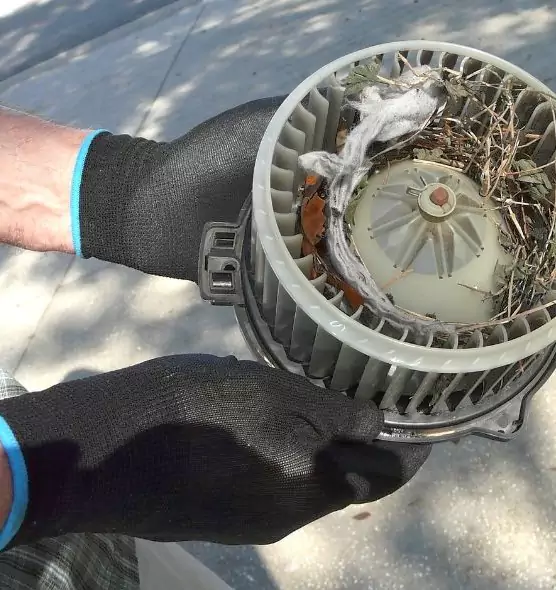 About Air Duct Rat Removal in Flint, MI