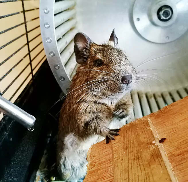 Why Homeowners & Businesses Trust Us Flint, MI